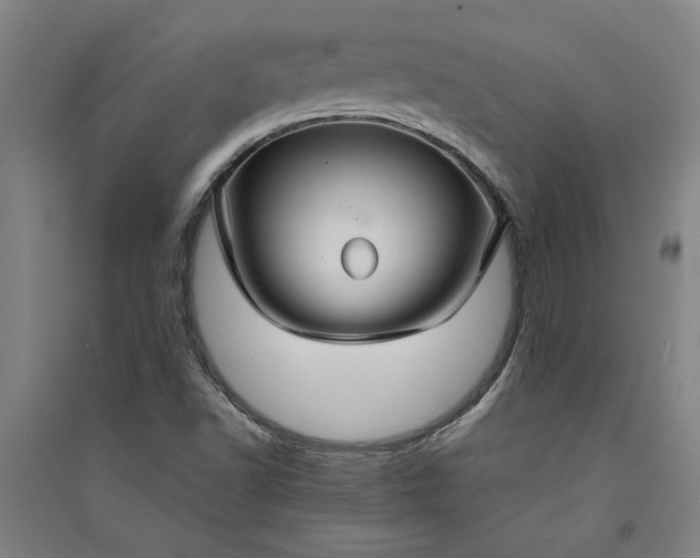 X0000091081502200708201421