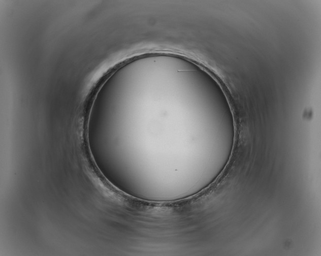 X0000091081503200708201421