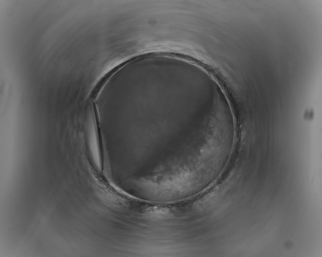 X0000091081505200708201421