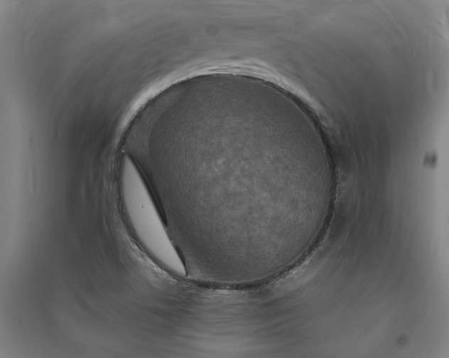 X0000091081506200708201421