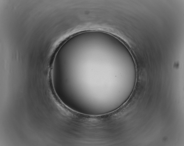 X0000091081507200708201421