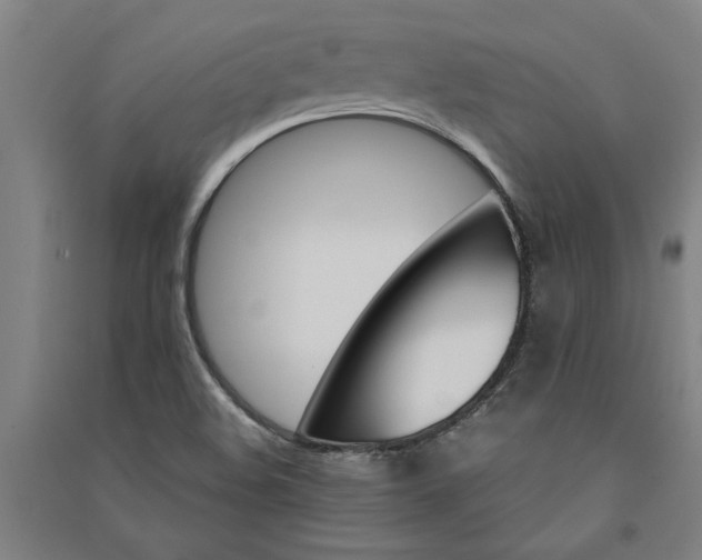 X0000091081508200708201421