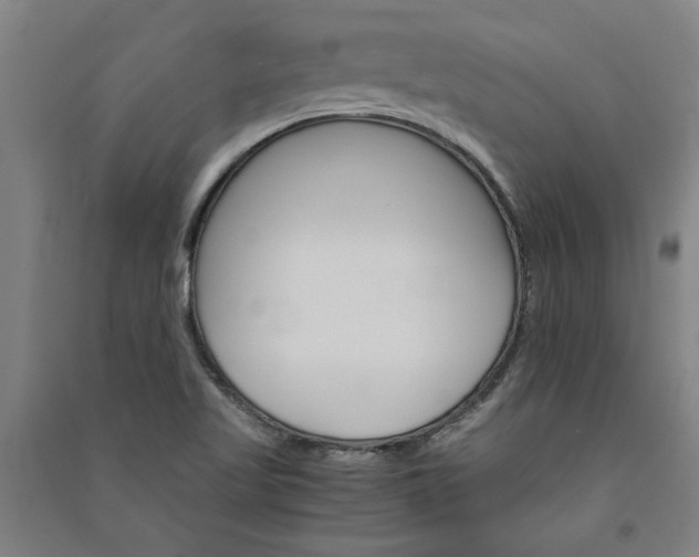 X0000091081509200708201421