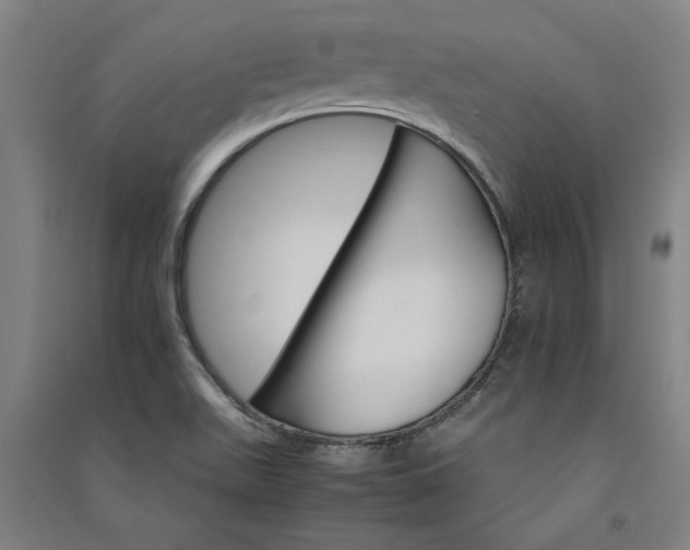 X0000091081511200708201421