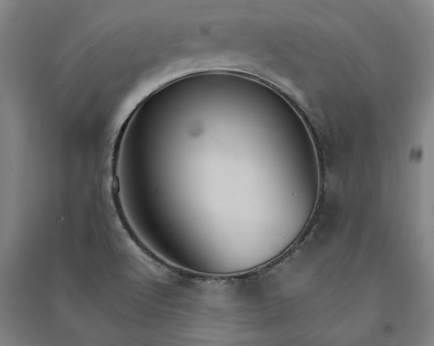 X0000091081512200708201421