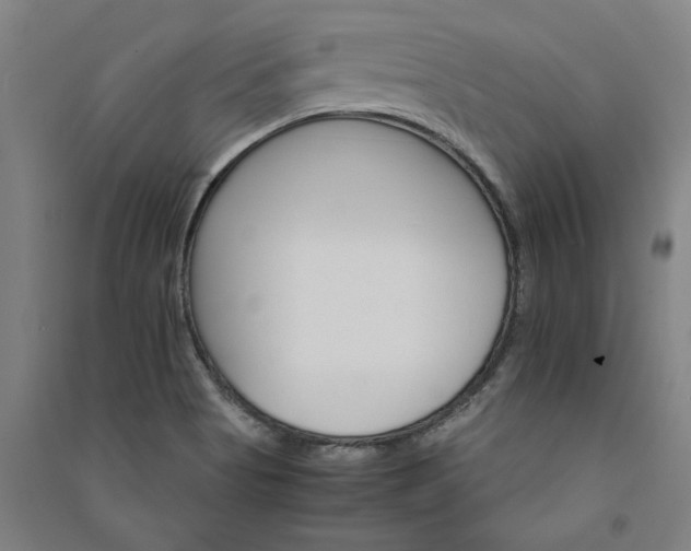 X0000091081513200708201421