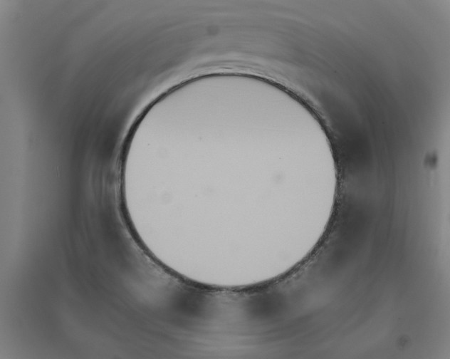 X0000091081514200708201421