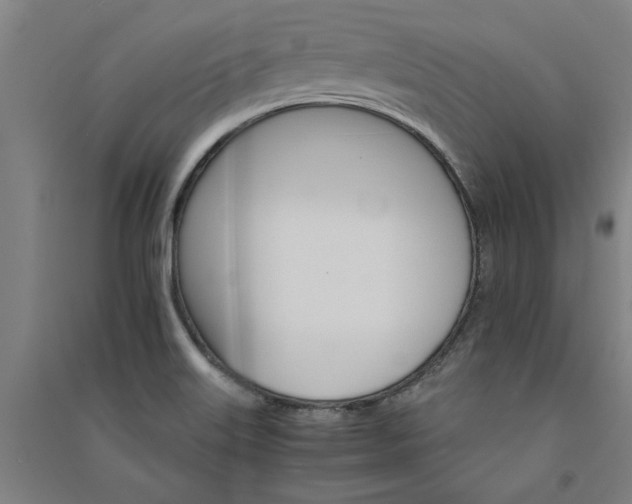 X0000091081515200708201421