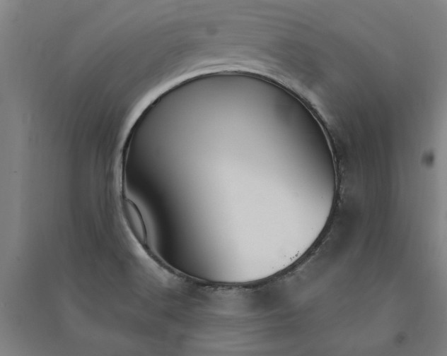 X0000091081516200708201421