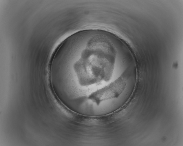 X0000091081517200708201421