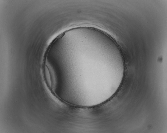 X0000091081518200708201421