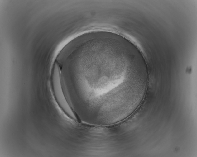 X0000091081520200708201421