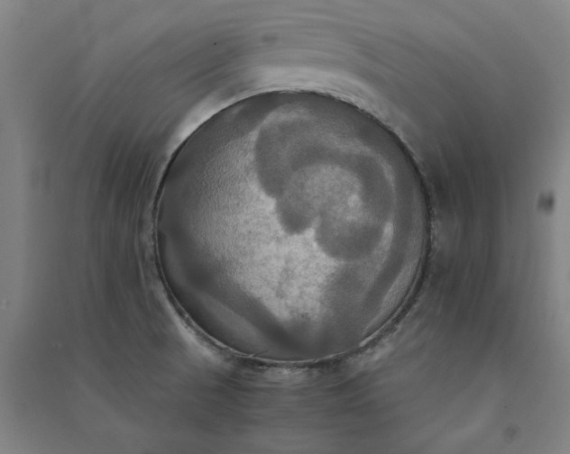 X0000091081521200708201421