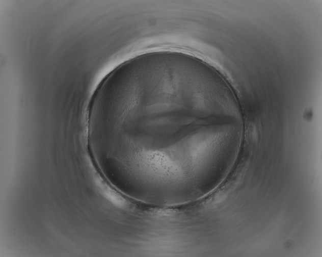 X0000091081522200708201421