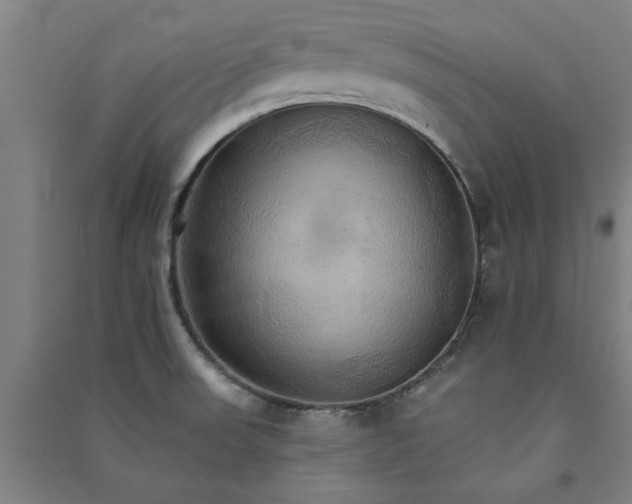 X0000091081523200708201421