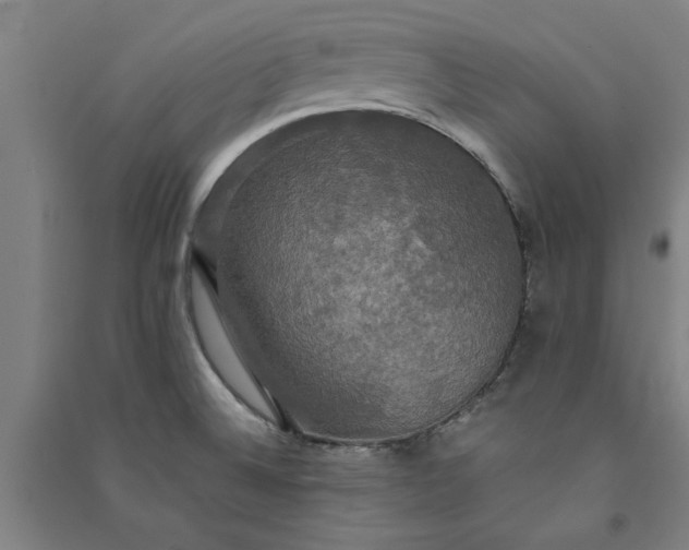 X0000091081524200708201421