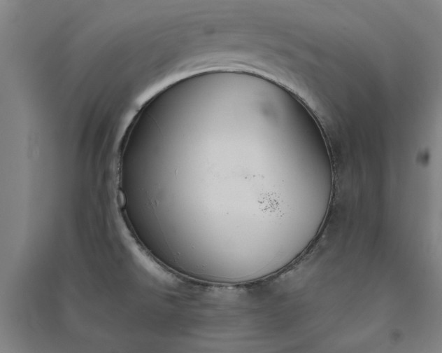 X0000091081526200708201421