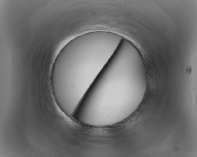 X0000091081527200708201421