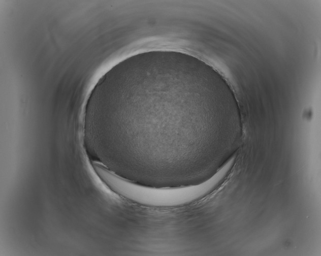 X0000091081528200708201421