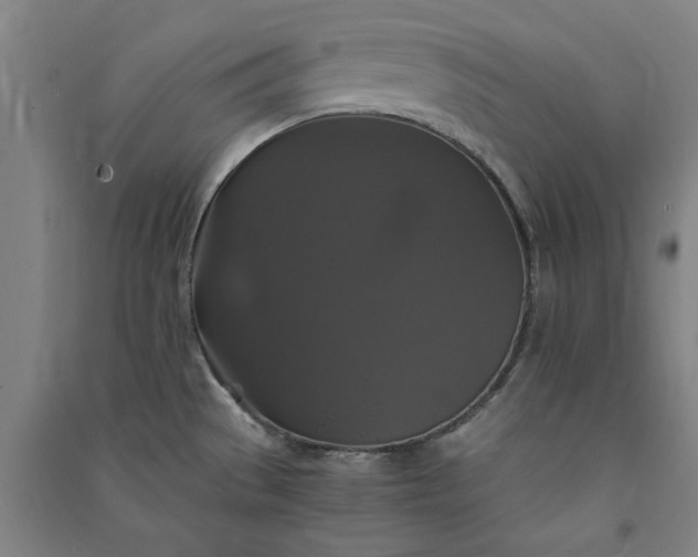 X0000091081529200708201421