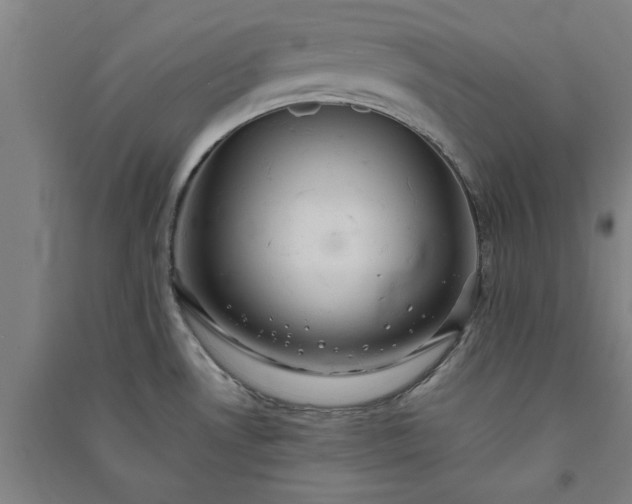 X0000091081530200708201421