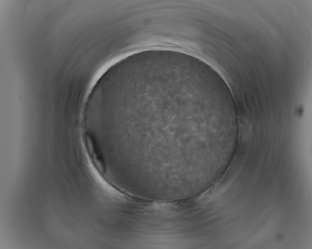 X0000091081531200708201421