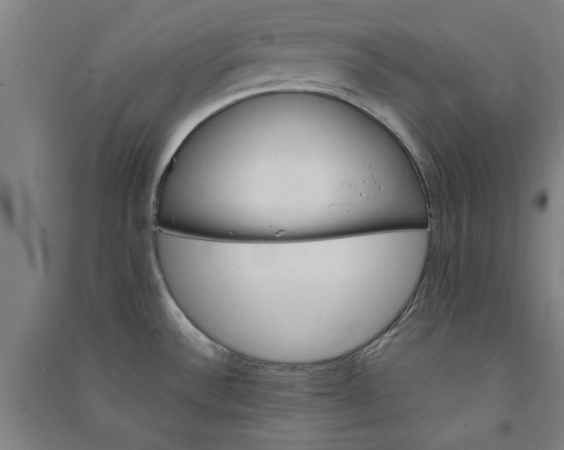 X0000091081532200708201421