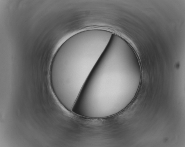 X0000091081533200708201421