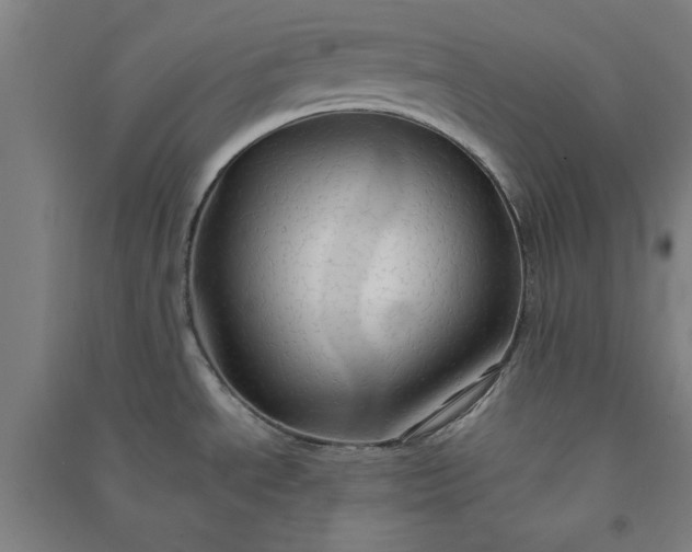 X0000091081534200708201421