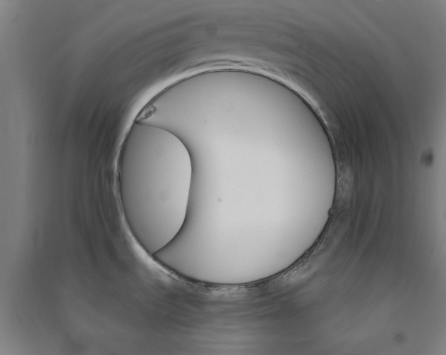 X0000091081535200708201421