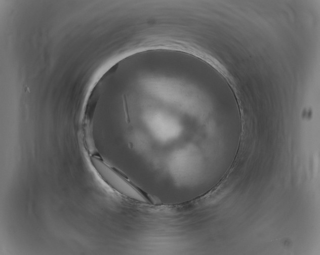 X0000091081536200708201421