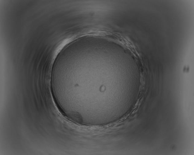 X0000091080003200708271245