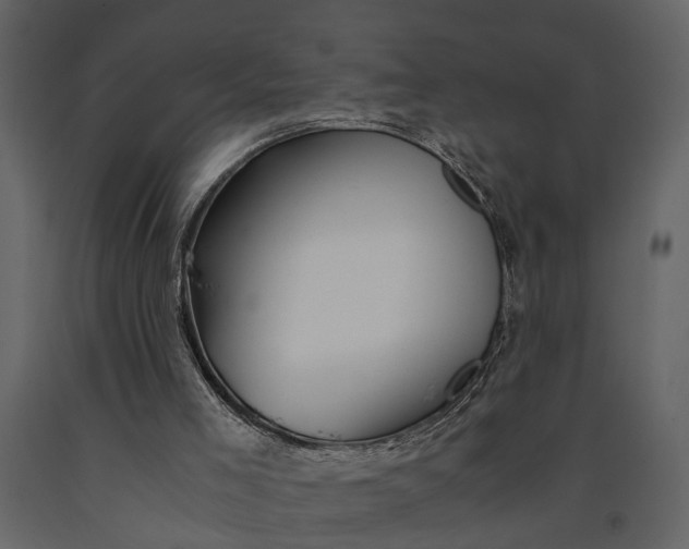 X0000091080005200708271245