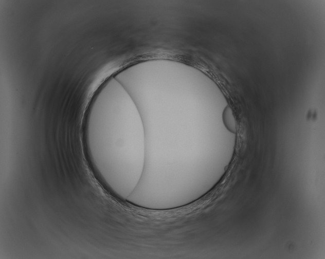 X0000091080006200708271245