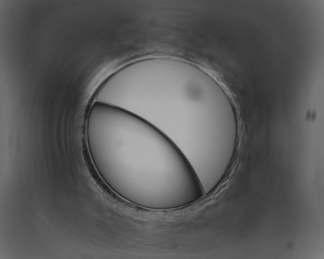 X0000091080007200708271245