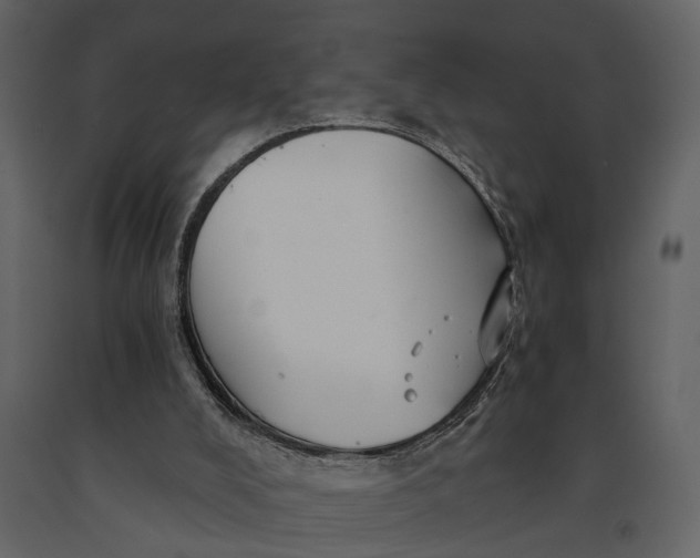 X0000091080008200708271245