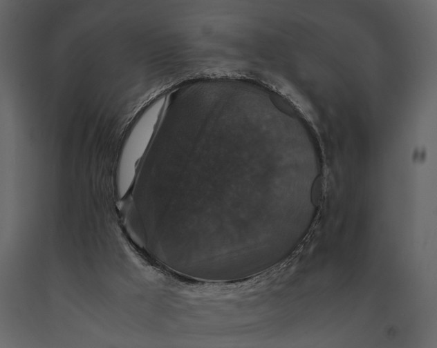 X0000091080009200708271245