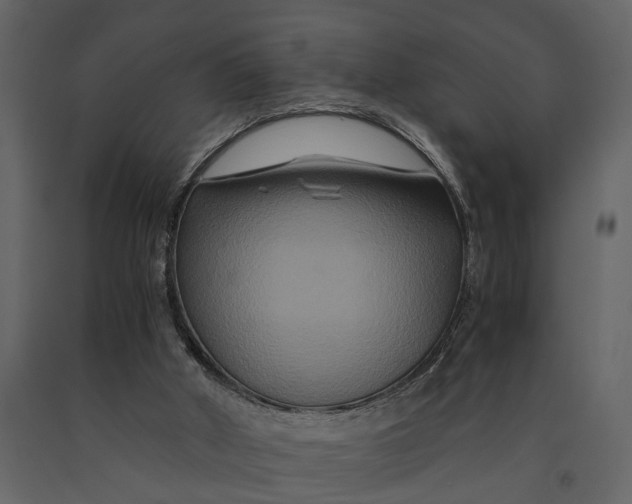 X0000091080010200708271245