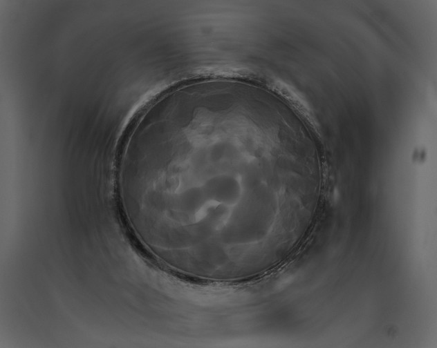 X0000091080012200708271245