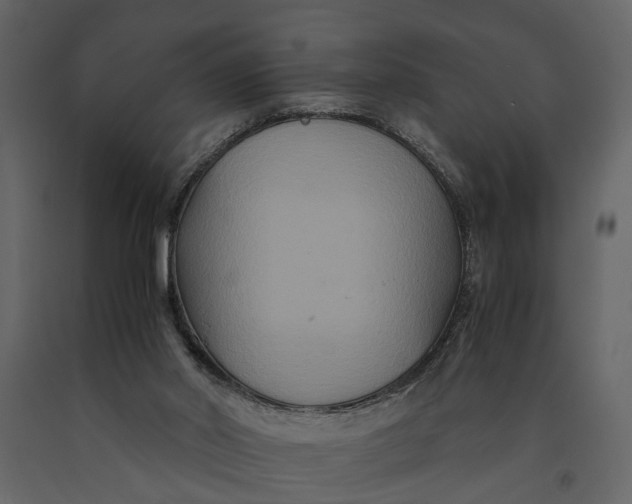 X0000091080014200708271245