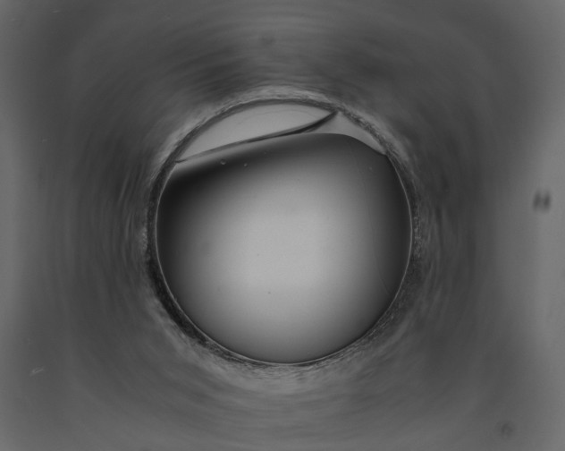 X0000091080015200708271245