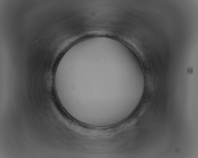 X0000091080016200708271245