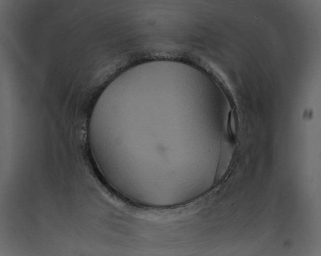 X0000091080017200708271245