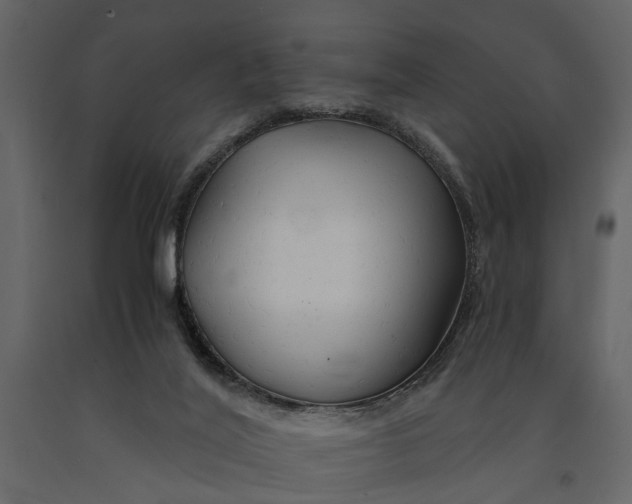 X0000091080020200708271245