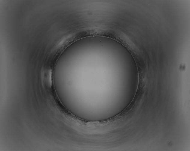 X0000091080022200708271245