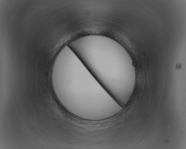 X0000091080023200708271245