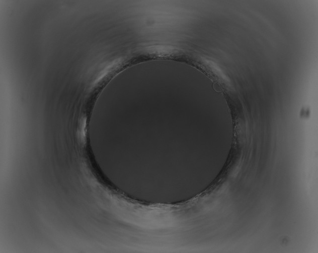 X0000091080024200708271245