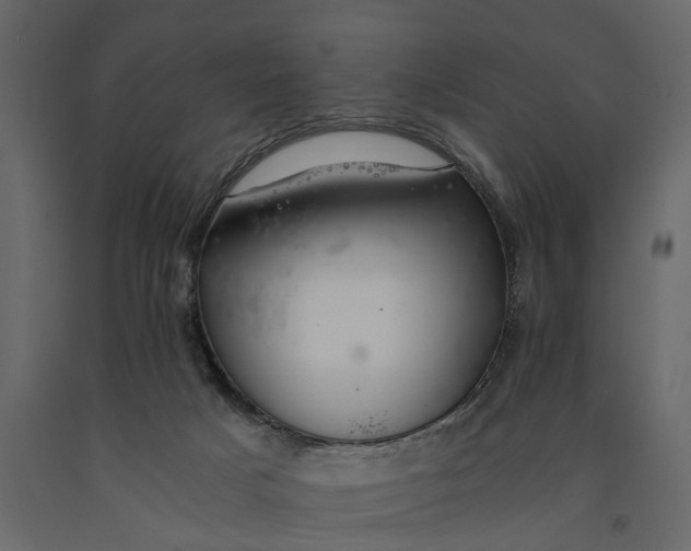 X0000091080025200708271245