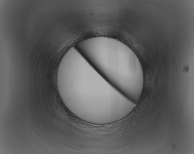 X0000091080027200708271245