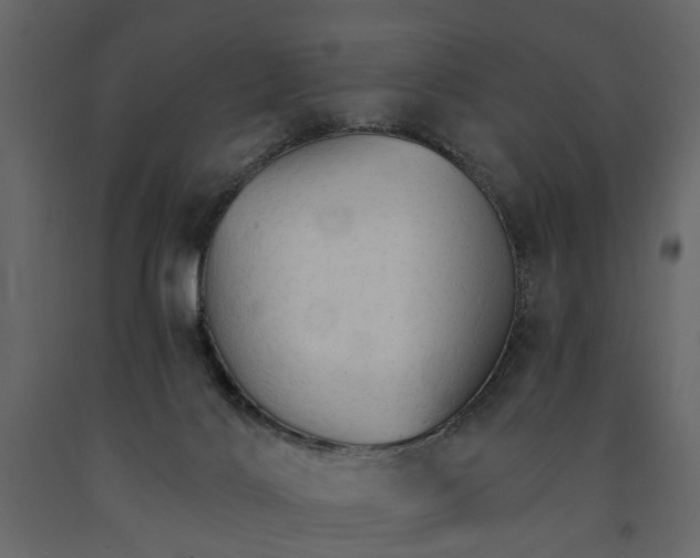 X0000091080028200708271245